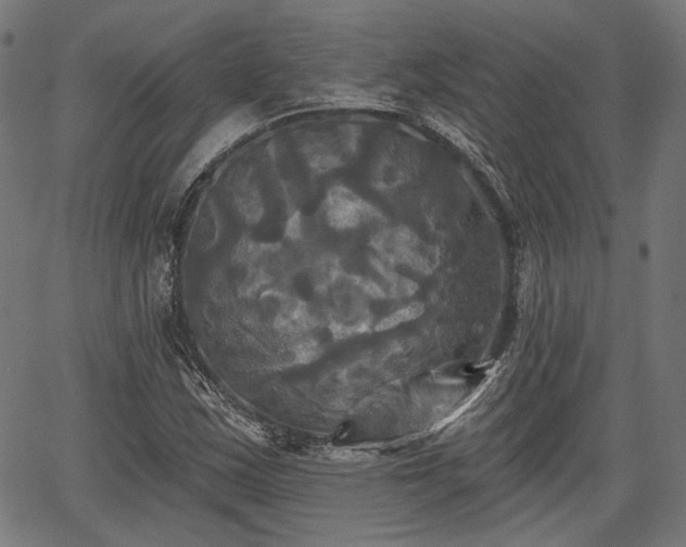 X0000067391163200604031025