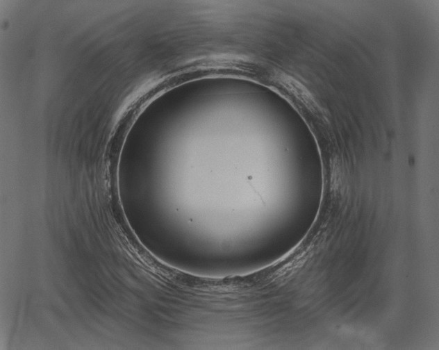 X0000067391164200604031025