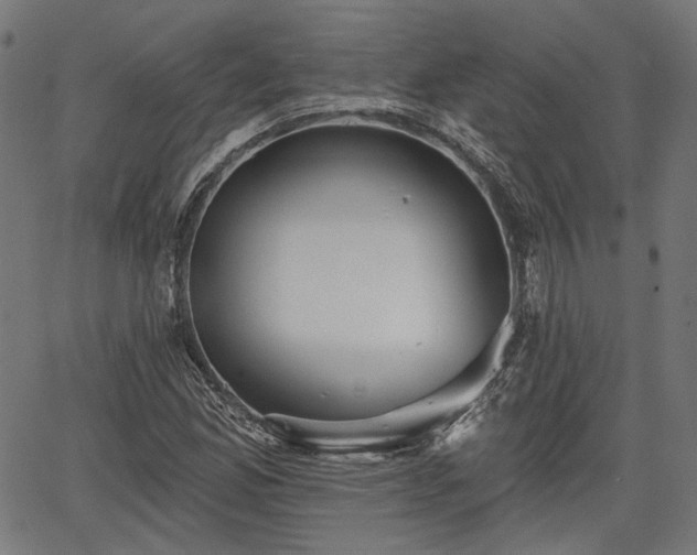 X0000067391165200604031025