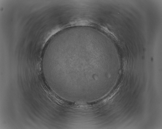 X0000067391166200604031025