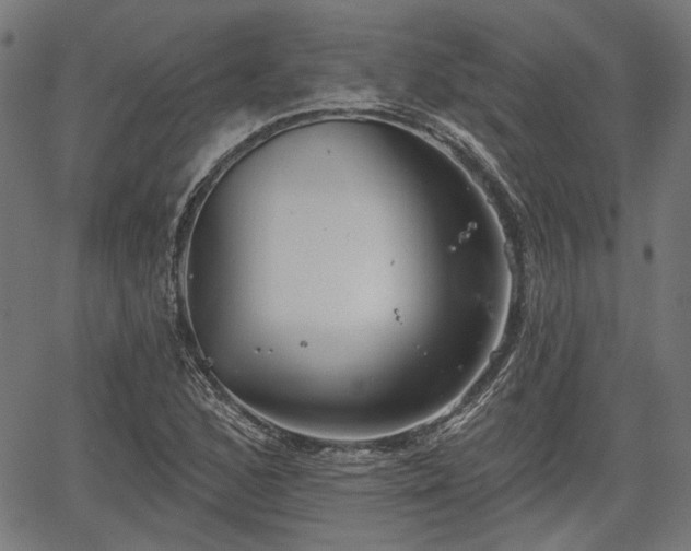 X0000067391168200604031025