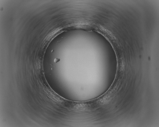 X0000067391169200604031025