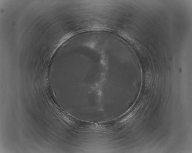 X0000067391170200604031025