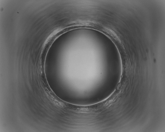 X0000067391172200604031025