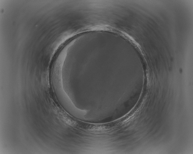 X0000067391174200604031025