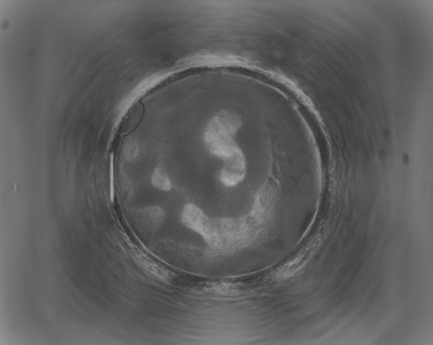 X0000067391175200604031025