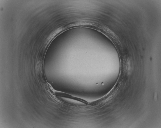 X0000067391177200604031025