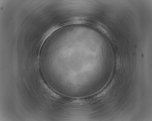 X0000067391178200604031025