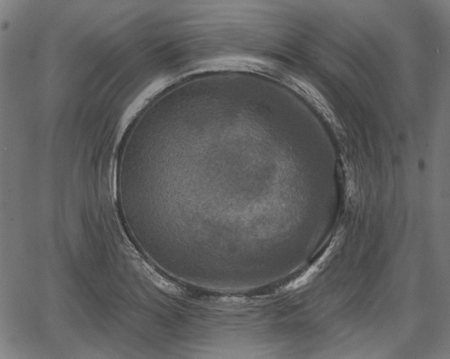 X0000067391180200604031025