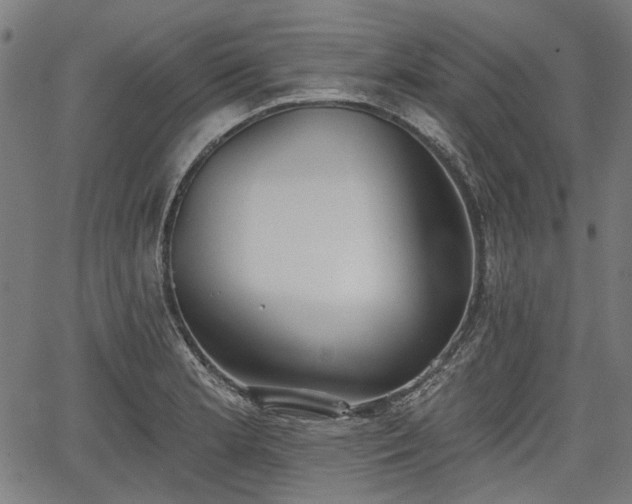 X0000067391181200604031025