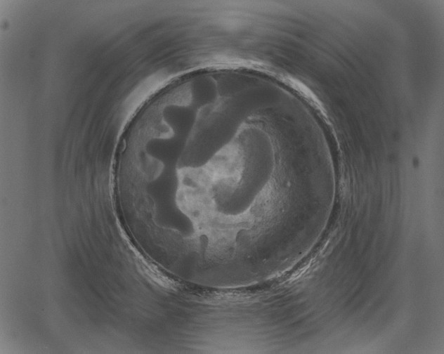 X0000067391183200604031025