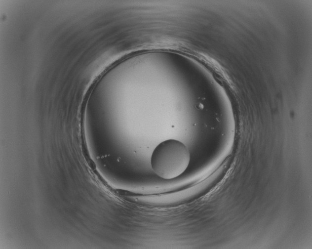 X0000067391184200604031025