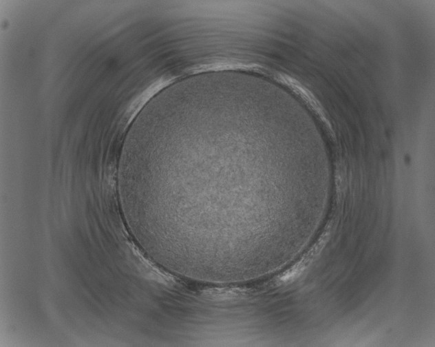 X0000067391185200604031025