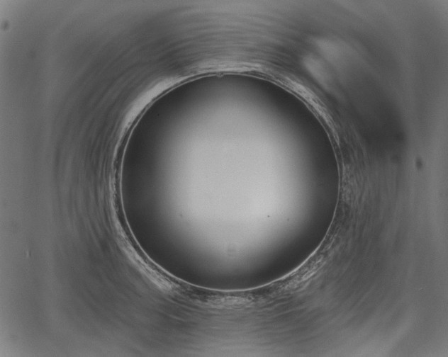 X0000067391187200604031025