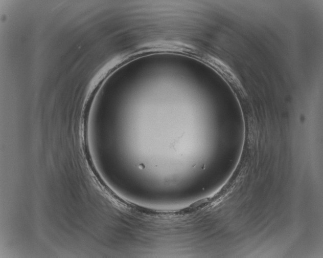 X0000067391188200604031025