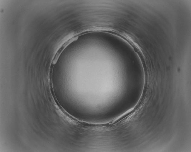 X0000067391189200604031025