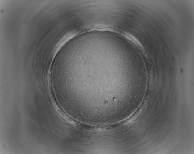 X0000067391190200604031025