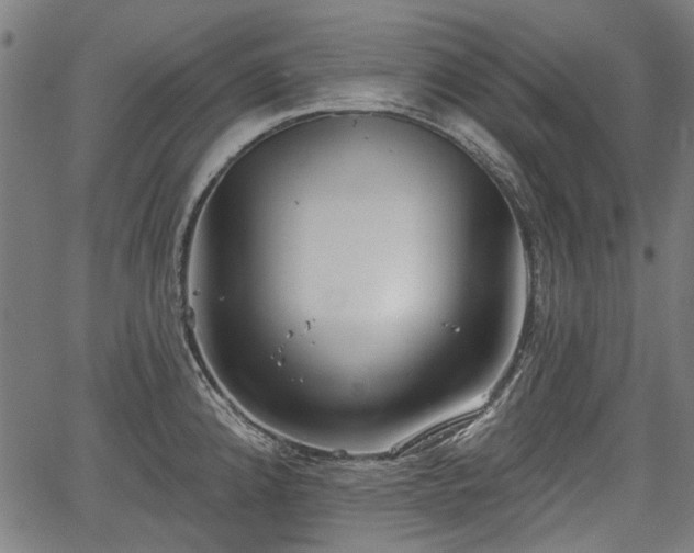 X0000067391192200604031025