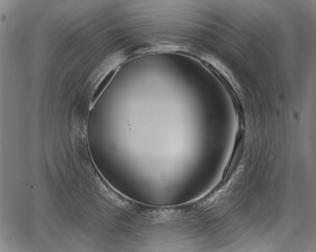 X0000067391193200604031025