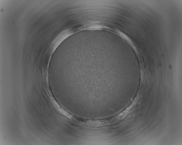 X0000067391194200604031025