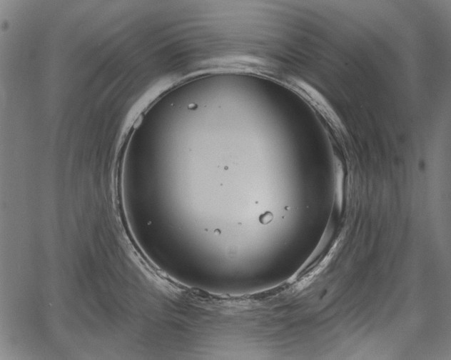 X0000067391196200604031025