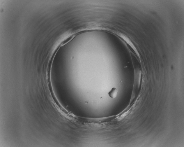 X0000067391197200604031025