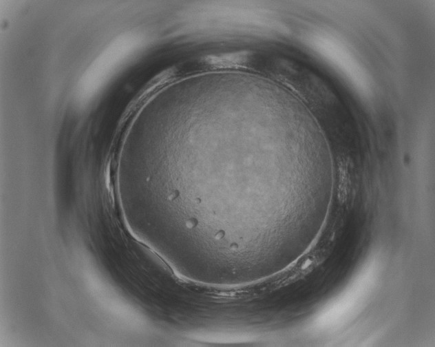 X0000067391198200604031025