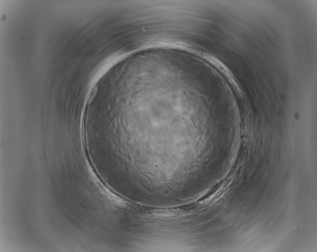 X0000067391199200604031025