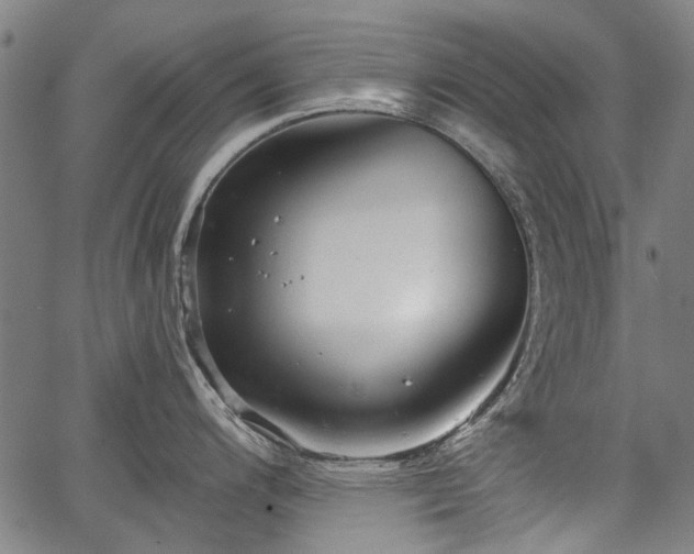 X0000067391200200604031025