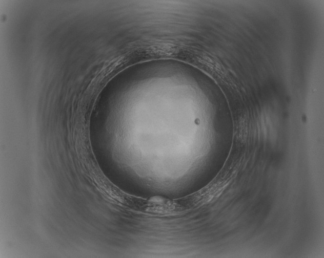 X0000067391201200604031024