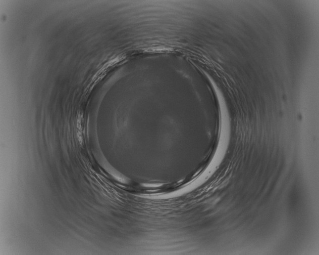 X0000067391202200604031024