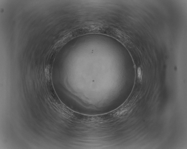 X0000067391203200604031024