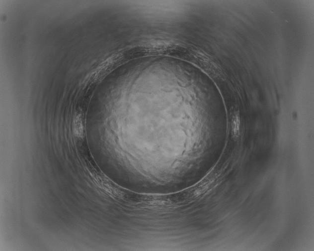 X0000067391204200604031024