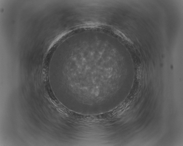 X0000067391208200604031024