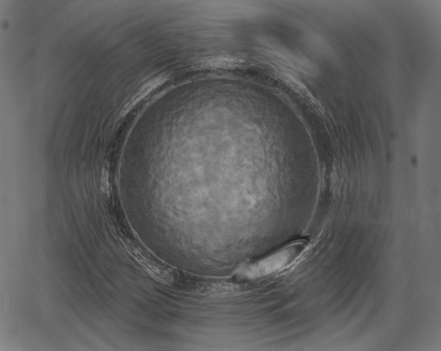 X0000067391209200604031024