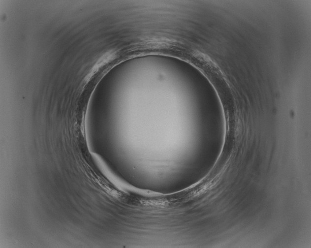 X0000067391210200604031024