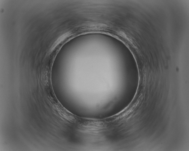 X0000067391211200604031024