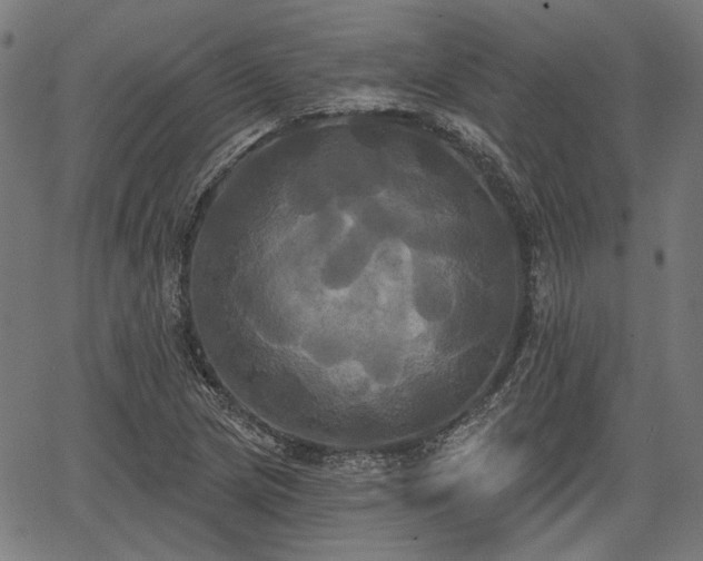 X0000067391217200604031024