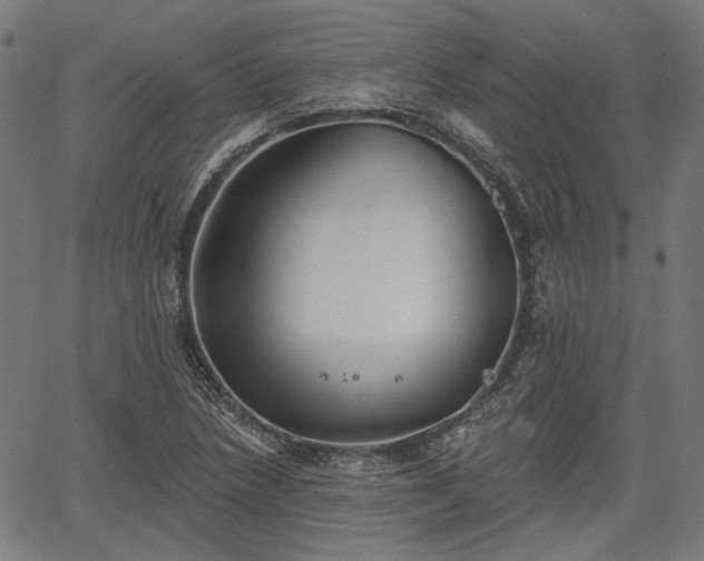 X0000067391218200604031024