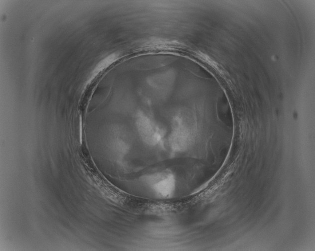 X0000067391219200604031024