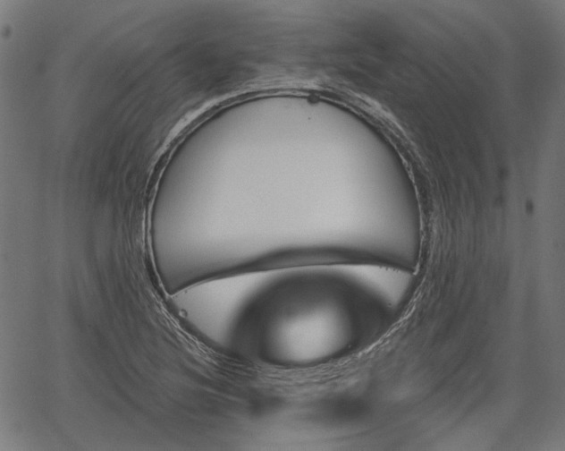 X0000067391220200604031024