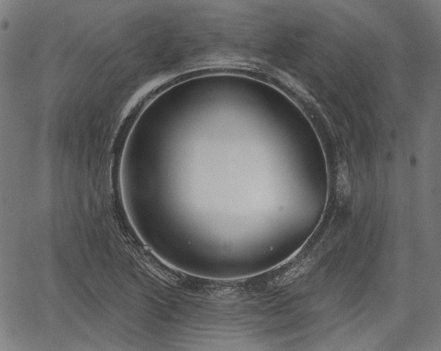 X0000067391222200604031024