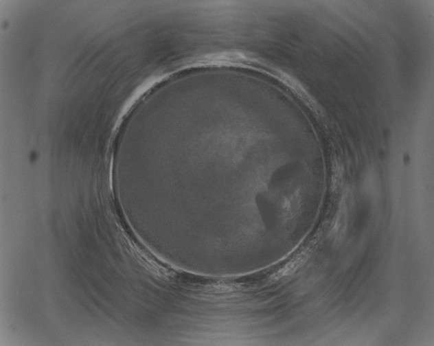 X0000067391224200604031024