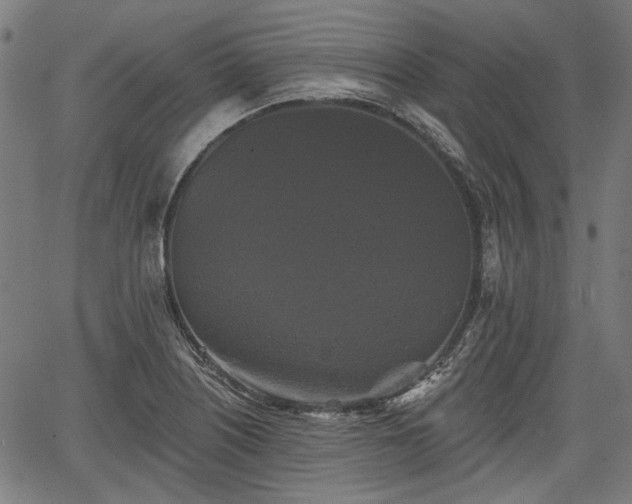 X0000067391226200604031024