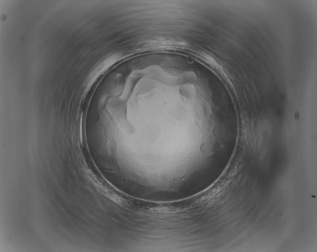 X0000067391227200604031024