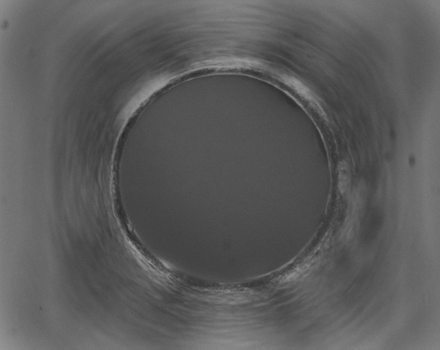 X0000067391229200604031024