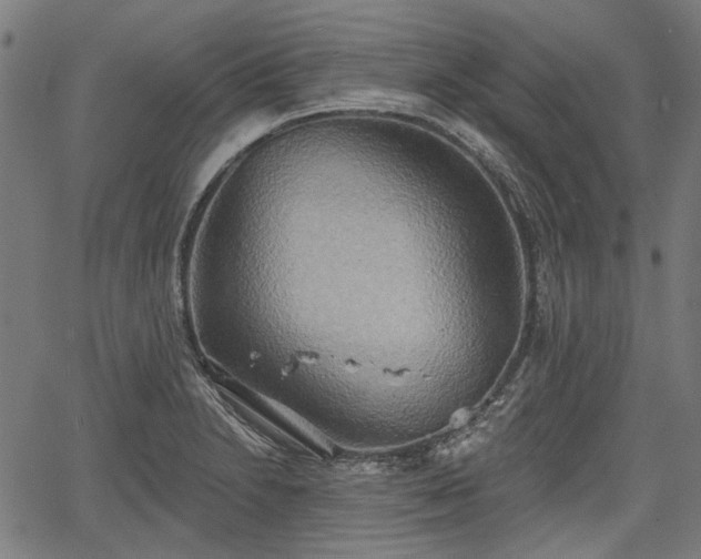 X0000067391230200604031024