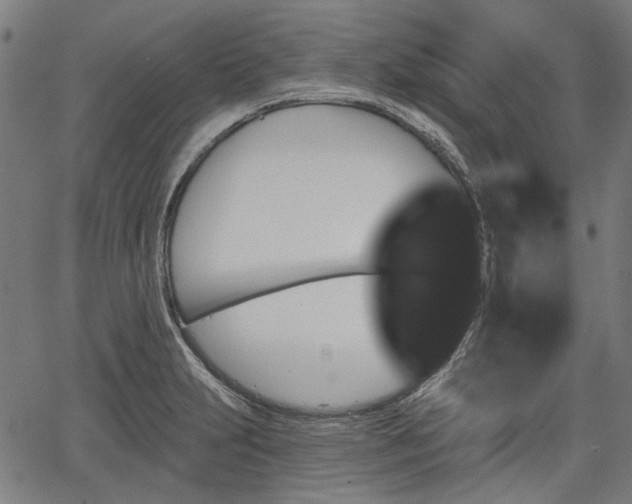 X0000067391231200604031024