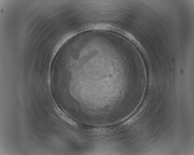 X0000067391232200604031024