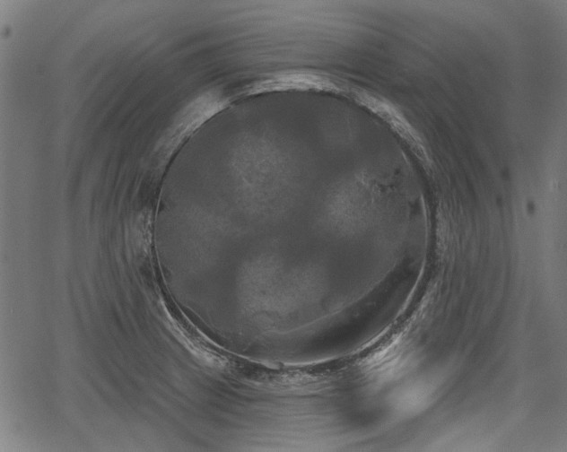 X0000067391233200604031024